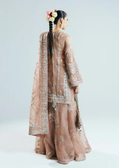 Hussain Rehar – Dune (Peach)